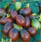 Семена томатов