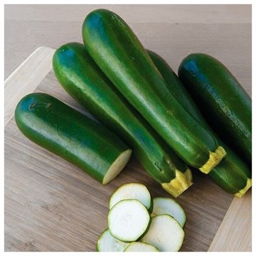 Кабачок Цукеша 2316 Кабачок Цукеша 2316