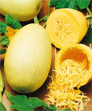 Кабачок кулинарный 2323 Кабачок кулинарный 2323