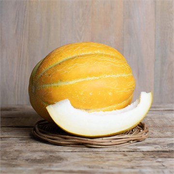Дыня Эфиопка 2329 Дыня Эфиопка 2329