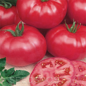 Томат Турмалин f1 2613