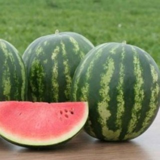 Арбуз Ница 2642