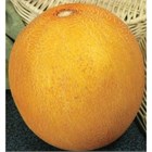 Дыня колхозница 2632